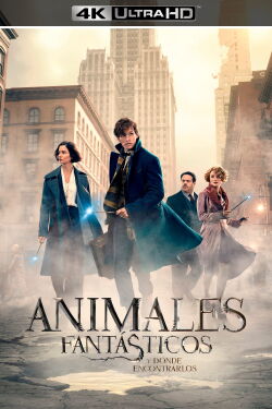 Animales Fantásticos: Y Dónde Encontrarlos (2016)