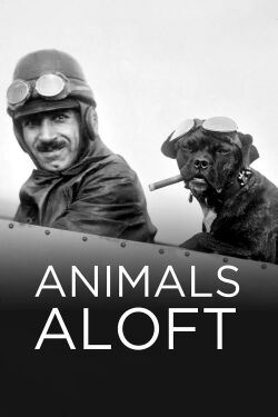 Animals Aloft (2009)