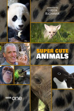 Animaux trop mignons (2015)