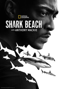 Anthony Mackie: la playa de los tiburones (2024)