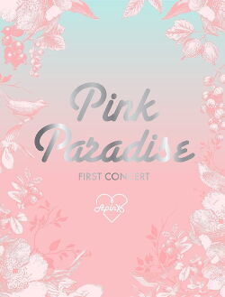 Apink 1st Concert