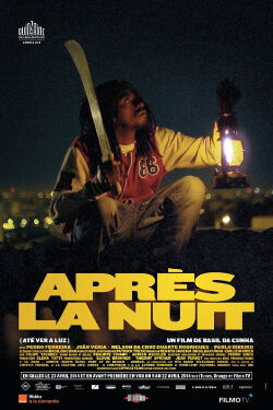 Après la nuit (2013)