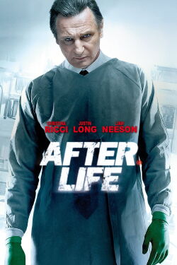 Après la vie (2009)
