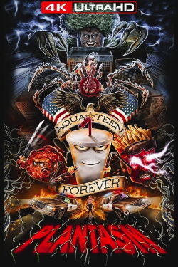 Aqua Teen Forever : Plantasm (2022)