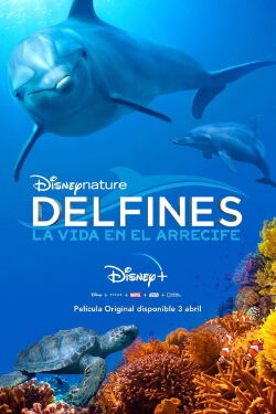 Arrecifes de delfines (2018)