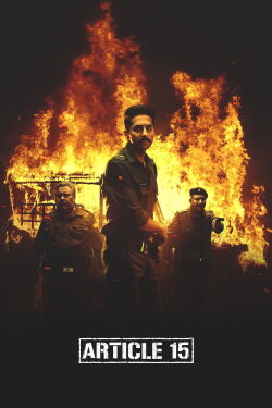 Artículo 15 (2019)