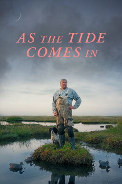 As The Tide Comes In (2024)