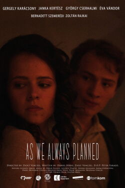 As we always planned (2022)