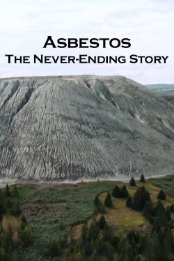 Asbestos: The Never-Ending Story (2022)