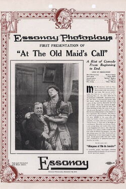 At the Old Maid's Call (1913)