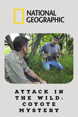 Attack in the Wild: Coyote Mystery (2011)