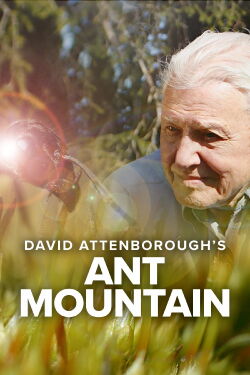 Attenborough y la montaña de las hormigas (2017)