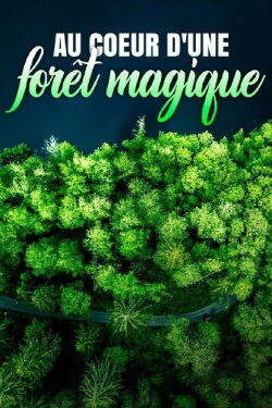 Au cœur d'une forêt magique (2023)