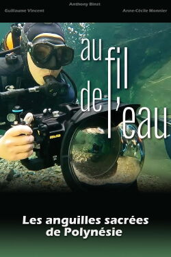 Au fil de l'eau, les anguilles sacrées de Polynésie (2020)
