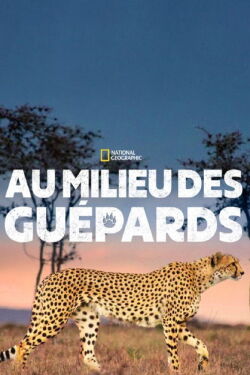 Au milieu des guépards (2017)