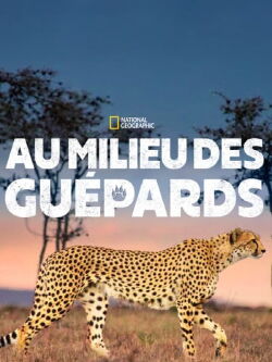 Au milieu des guépards (2017)