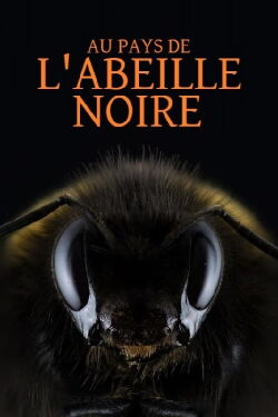 Au pays de l'abeille noire (2023)