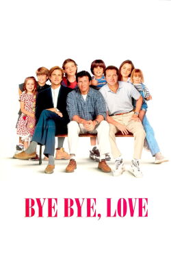Au revoir mon amour (1995)