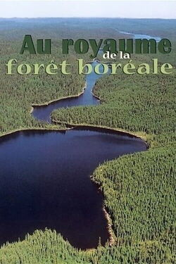 Au Royaume de la Forêt (2016)