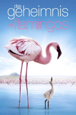 Auf purpurnen Schwingen: Das Geheimnis der Flamingos (2008)