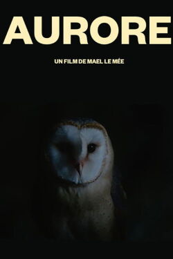 Aurore (2017)
