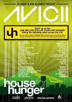 Avicii on Tour (2013)