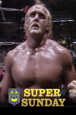 AWA Super Sunday (1983)