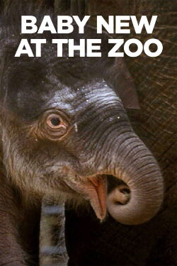 Baby New at the Zoo (2007)