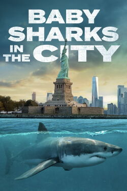 Baby sharks en la ciudad (2024)