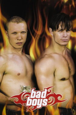 Bad Boys (2003)