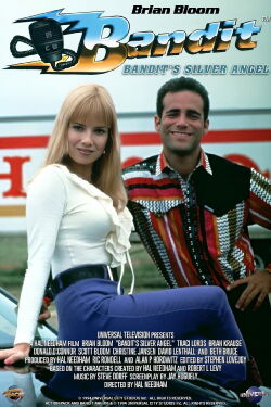 Bandit's Silver Angel (1994)