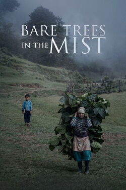 Bare Trees In The Mist (2019)
