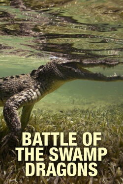 Battle of the Swamp Dragons (2017)