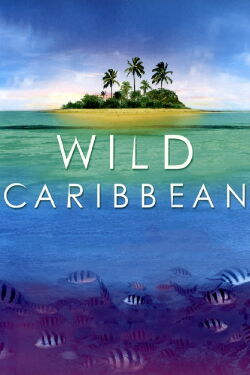BBC Wild Caribbean (2007)