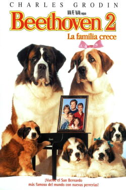 Beethoven 2 (1993)