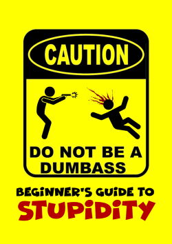 Beginner's Guide To Stupidity (2026)