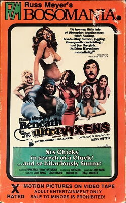 Beneath the Valley of the Ultra-Vixens (1979)