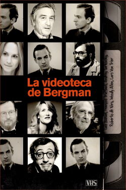 Bergmans video (2012)