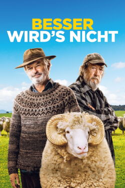 Besser wird's nicht (2020)