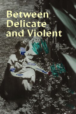 Between Delicate and Violent (2023)