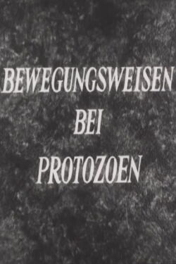 Bewegungsweisen bei Protozoen (1952)