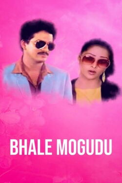Bhale Mogudu (1987)