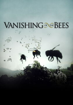 Bienen - Himmelsvolk in Gefahr (2009)
