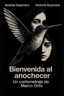 Bienvenida al Anochecer (2018)