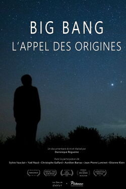 Big bang, l'appel des origines (2022)