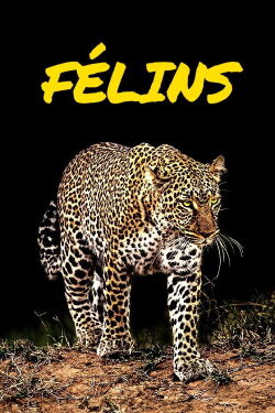 Big Cats (2019)