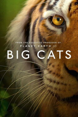 Big Cats (2019)