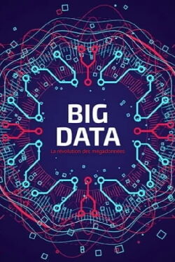 Big Data - La révolution des mégadonnées (2014)
