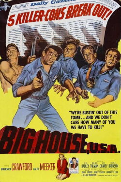 Big House, U.S.A (1955)