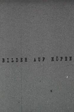Bilder auf Höfen (1984)